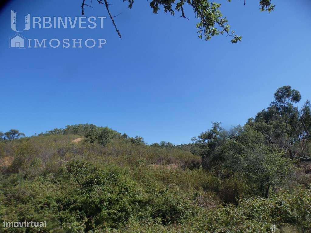 Terreno rústico, perto do Autódromo Internacional do Algarve. - Grande imagem: 5/8