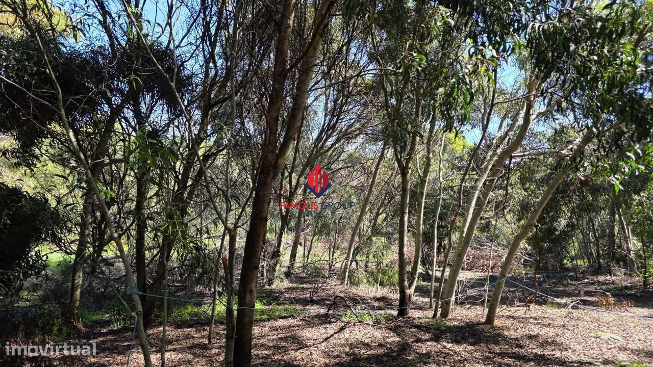 Terreno Rústico em Bensafrim - Grande imagem: 5/36