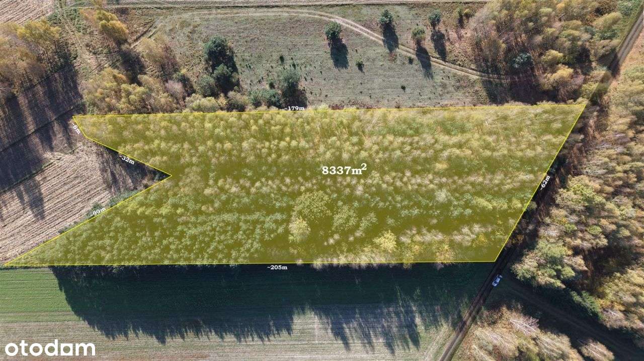 Duża zadrzewiona działka nieopodal Wkry.-8