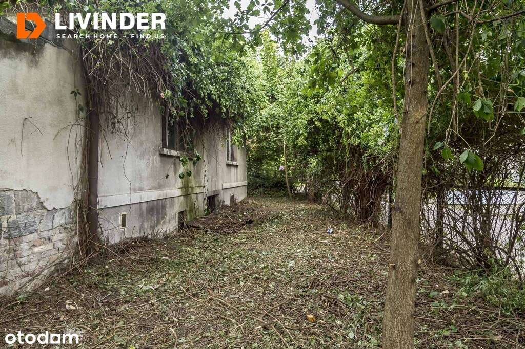 Dom z działką 4,23ha na Lea - Pełny obrazek: 5/12