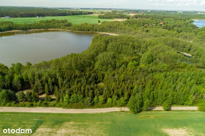 Działka z lasem przy linii brzegowej jeziora-0