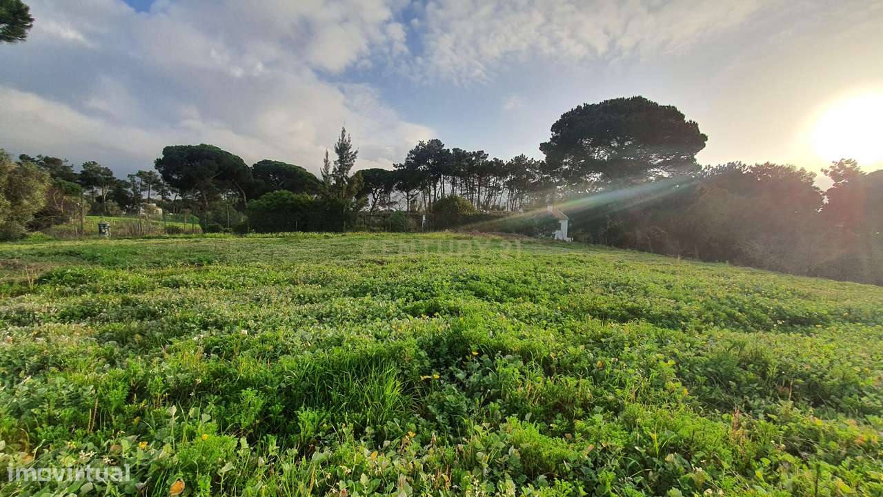 Terreno no meco para apoio agricola ou empreendimento turistico.-5