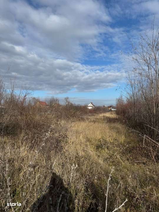 Teren intravilan Bananai - 2939 mp - Imagine principală: 3/3