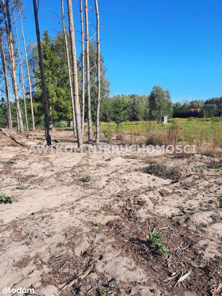 Działka budowlano - usługowa 4292m2 Kaleń - Pełny obrazek: 4/11