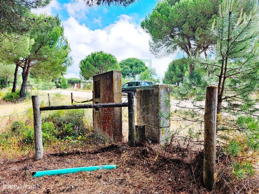 Lote de Terreno de 33.300m2, com lagoa, na Mata do Duque 1, Santo E...-16