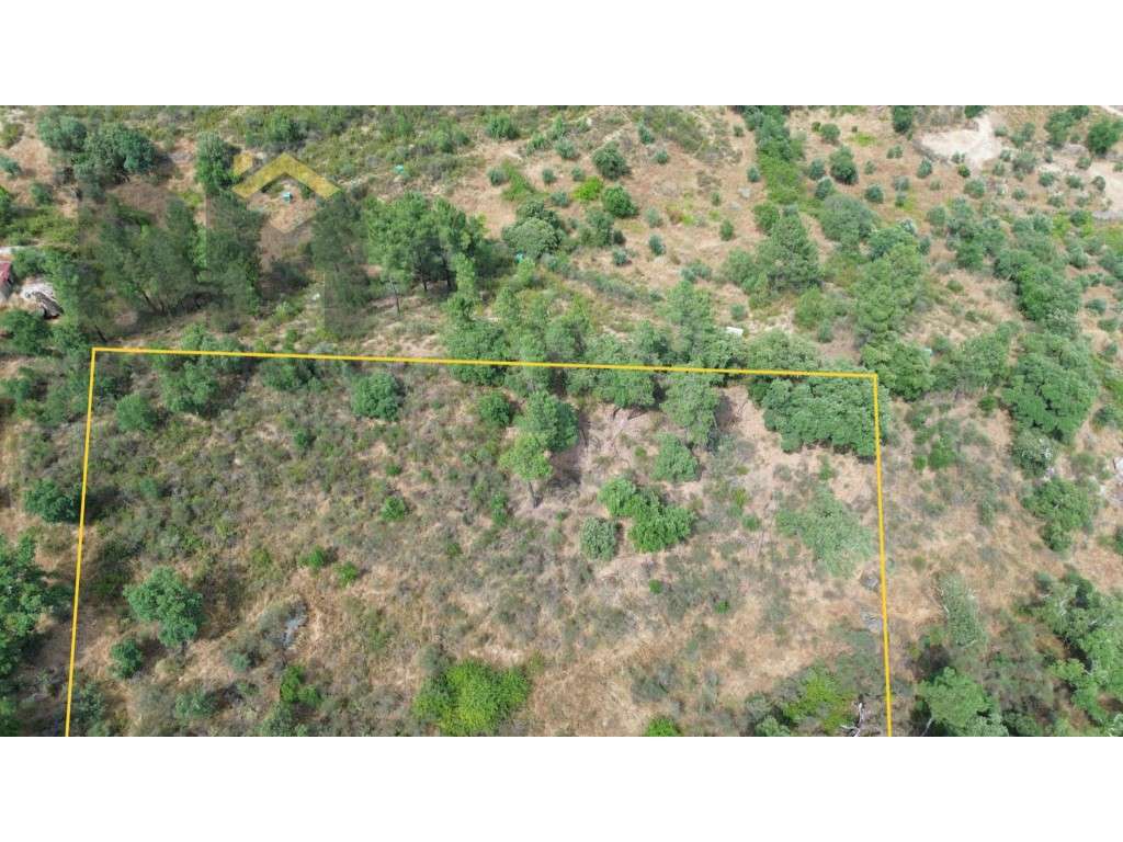 Terreno rústico com 4.400m2 para venda no Palvarinho! - Grande imagem: 4/15