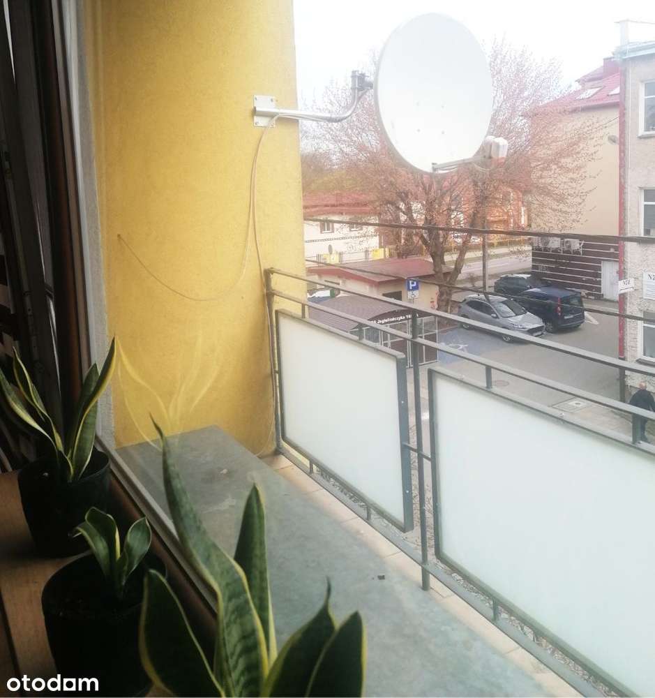 Mieszkanie Jagiellończyka - Pełny obrazek: 5/17