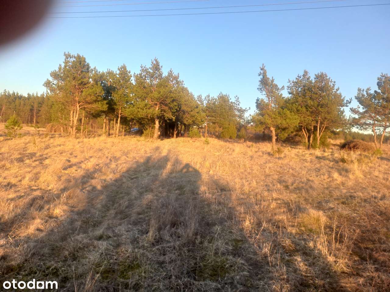 Sprzedam działkę nad samym jeziorem w stężycy - Pełny obrazek: 4/5