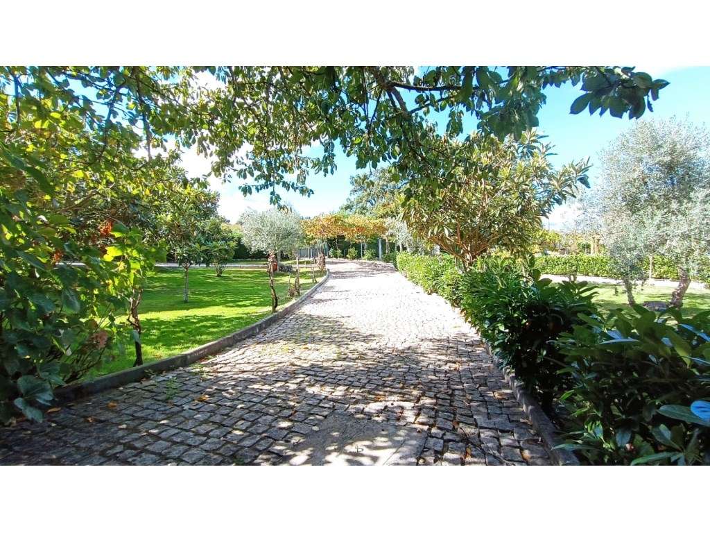 Quinta de Eventos em Terreno de 2ha no Fundão, Castelo Branco - Grande imagem: 3/47