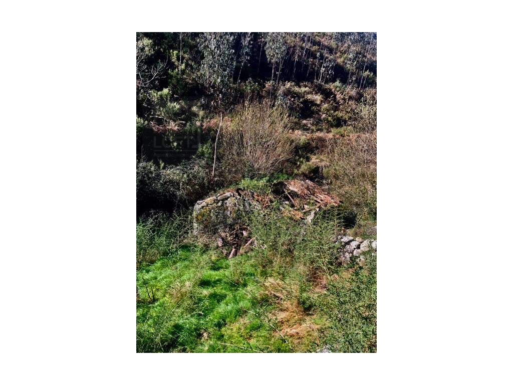 Moinhos Para Recuperar OPORTUNIDADE-11