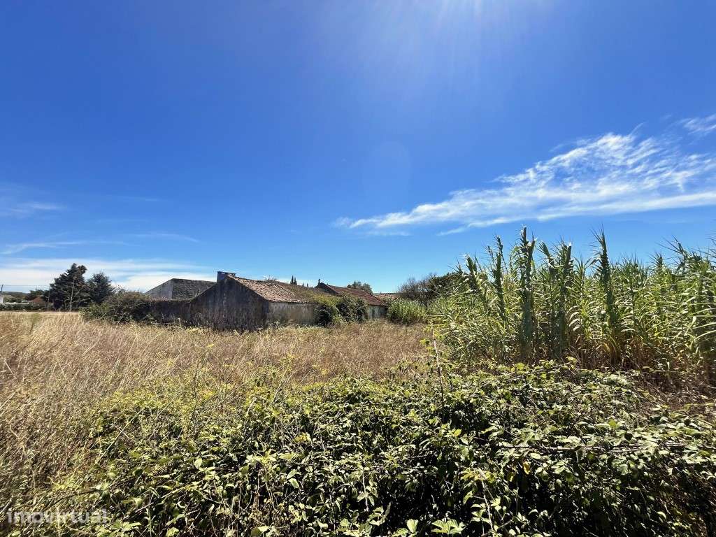 Terreno, em Rio Maior - Grande imagem: 3/11
