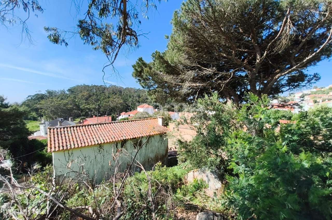 Propriedade única com 1.928 m² | Malveira da Serra-27