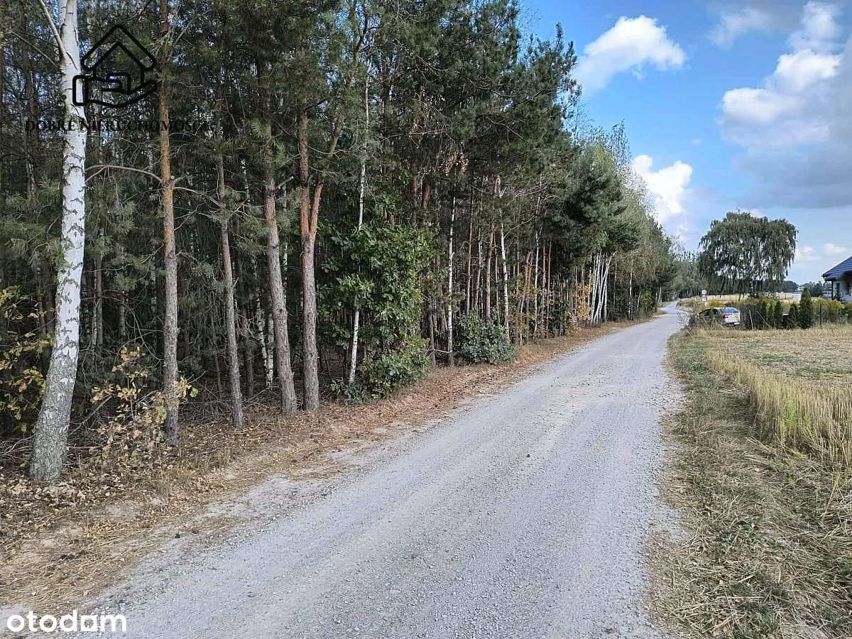 10 arów - spokojna okolica w sąsiedztwie lasu. - Pełny obrazek: 5/5