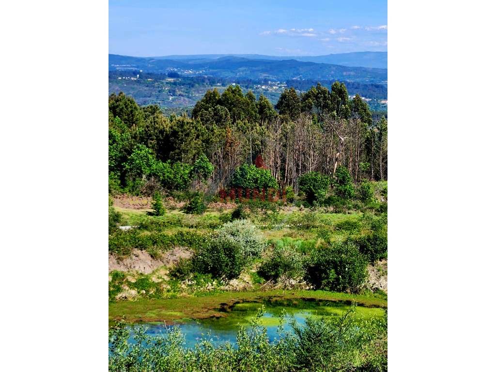 Terreno Misto com com uma charca natural e uma ruina, tem viabilida... - Grande imagem: 1/11