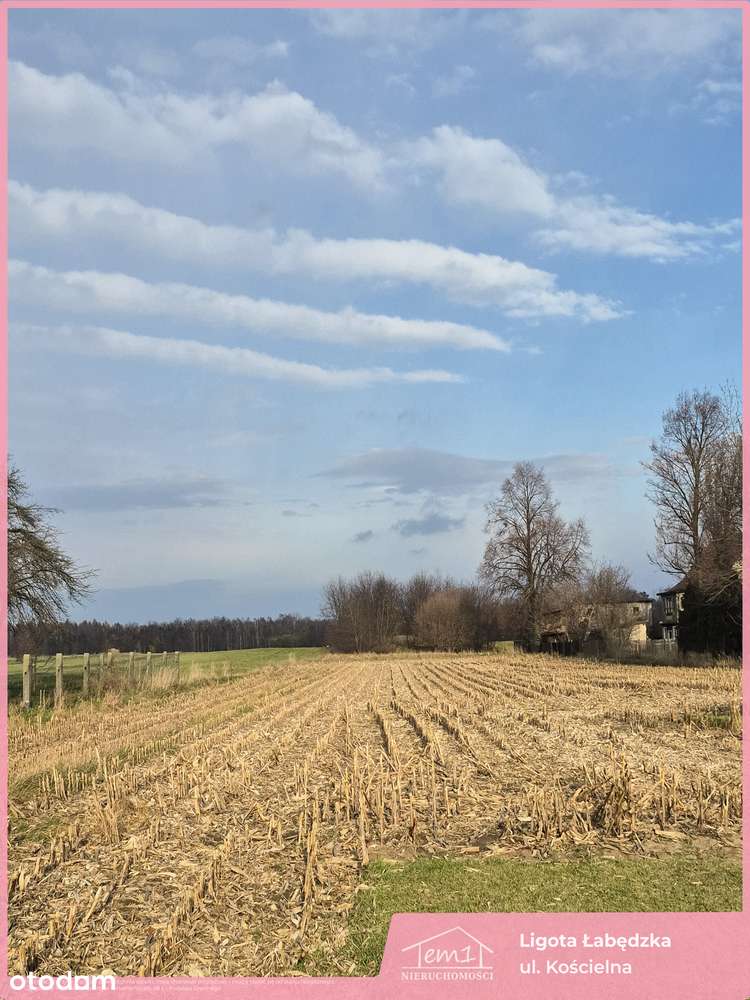 Ligota Łabędzka-3
