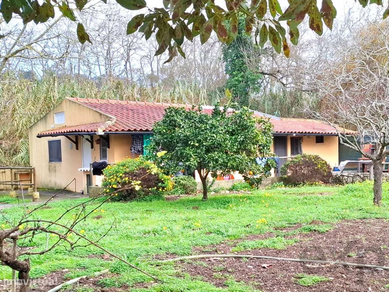 Sintra , Colares - Quintinha com moradia de Sonho - Grande imagem: 4/30