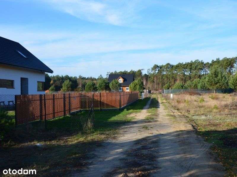Działka na sosnowym osiedlu, 900 m od jez. Białe - Pełny obrazek: 4/15