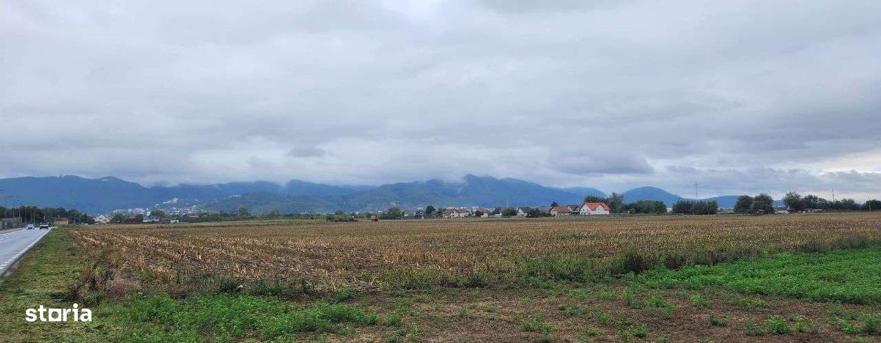 Teren 47.400 mp, PUZ rezidential S+P+2E+M, Bartolomeu str. Morarului. - Imagine principală: 2/4