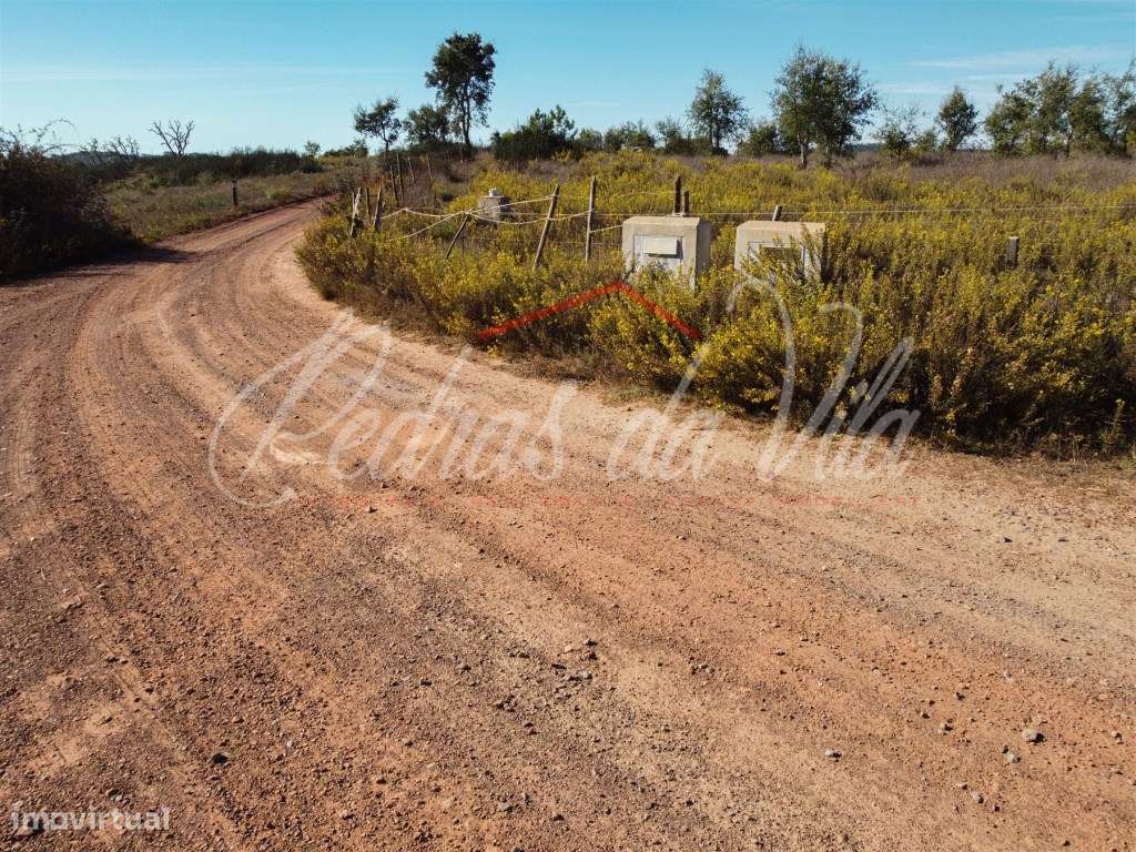 Quinta de 25ha com projeto aprovado - São Teotónio - Odemira-27