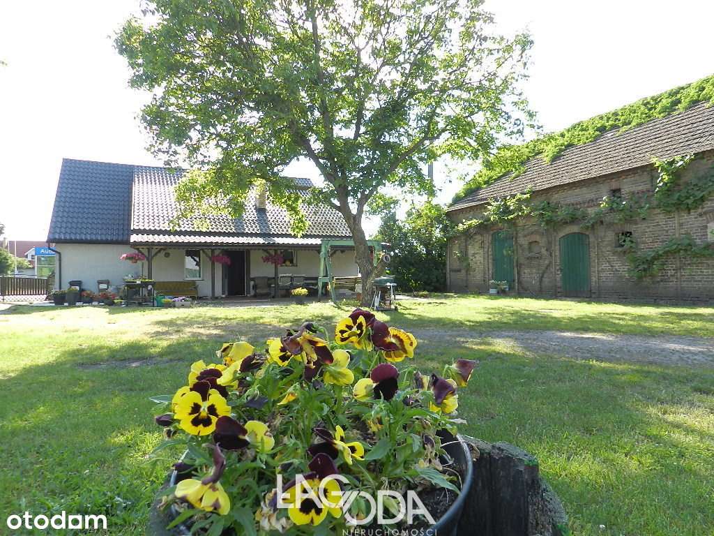 Hala 1152 m2, wiata 1260 m2 plus Dom - Deszczno-6