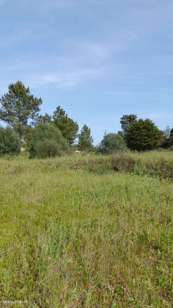 Setúbal/Padeiras Quinta 5000m2 para moradia.-7