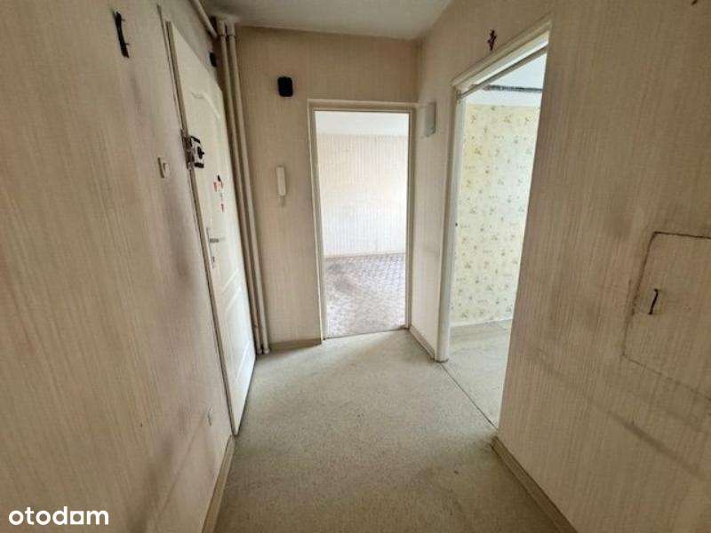 3 pokoje do własnej aranżacji na zielonym Julianowie!!-7