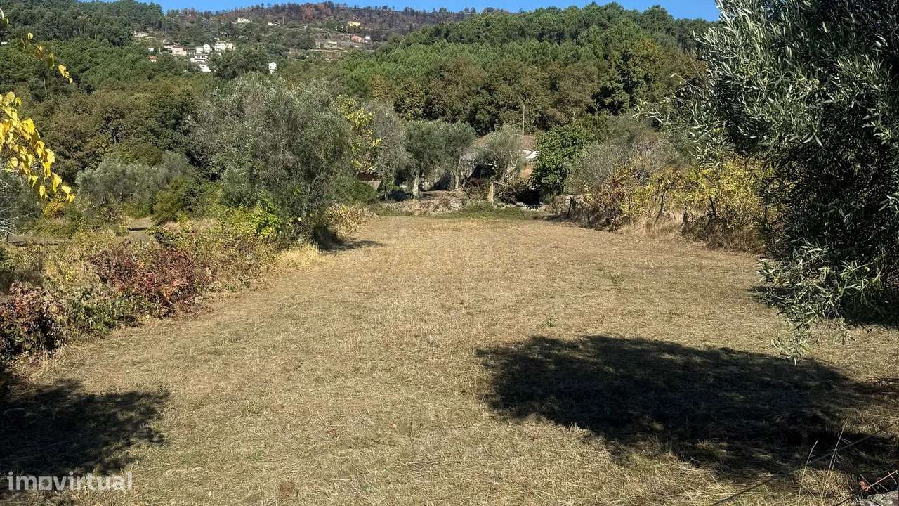 Quinta de 12.200m2 com Potencial Ilimitado, em Lordelo - Vila Real-10