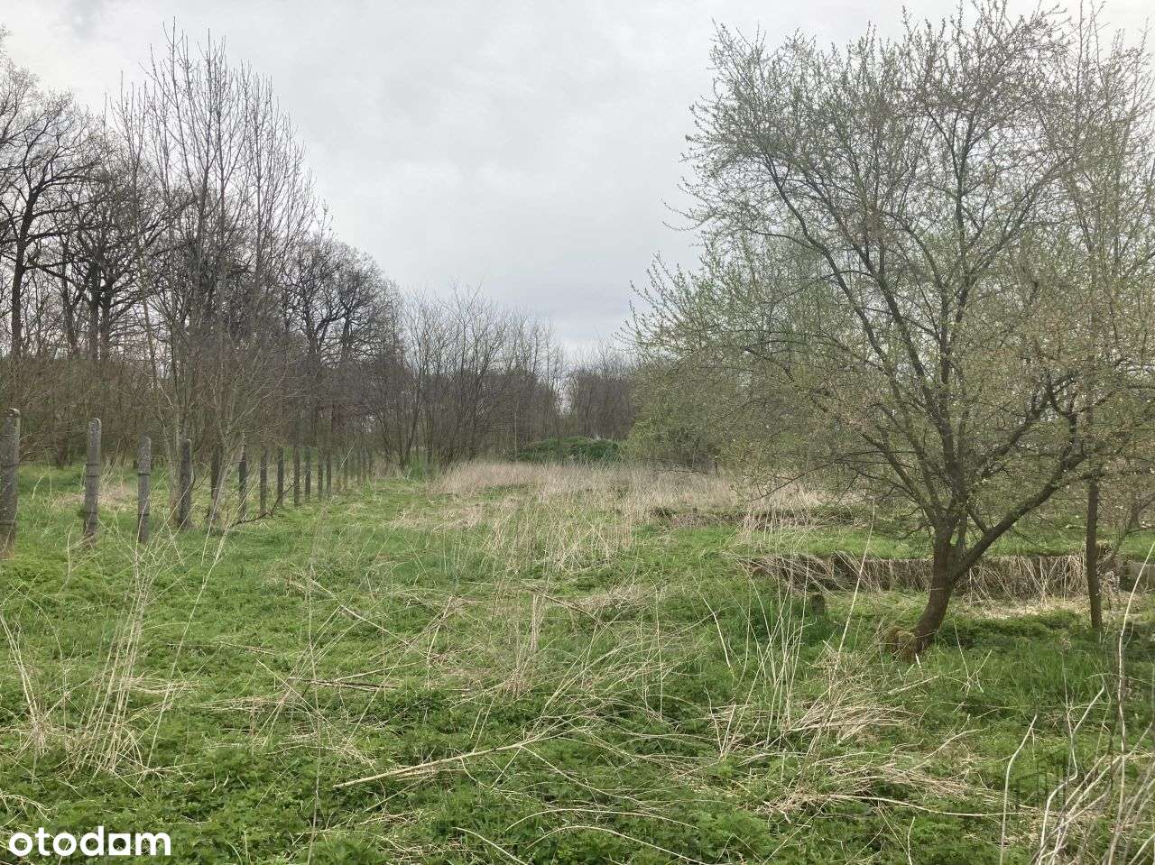 Działka, 1 000 m², Ozorowice-1