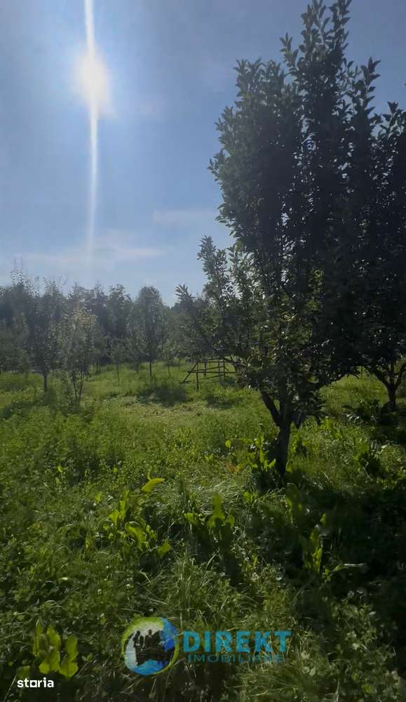 Casa cu toate utilitățile 58m2 , 1600 m2 teren, 25.000 euro, Susenii B-5