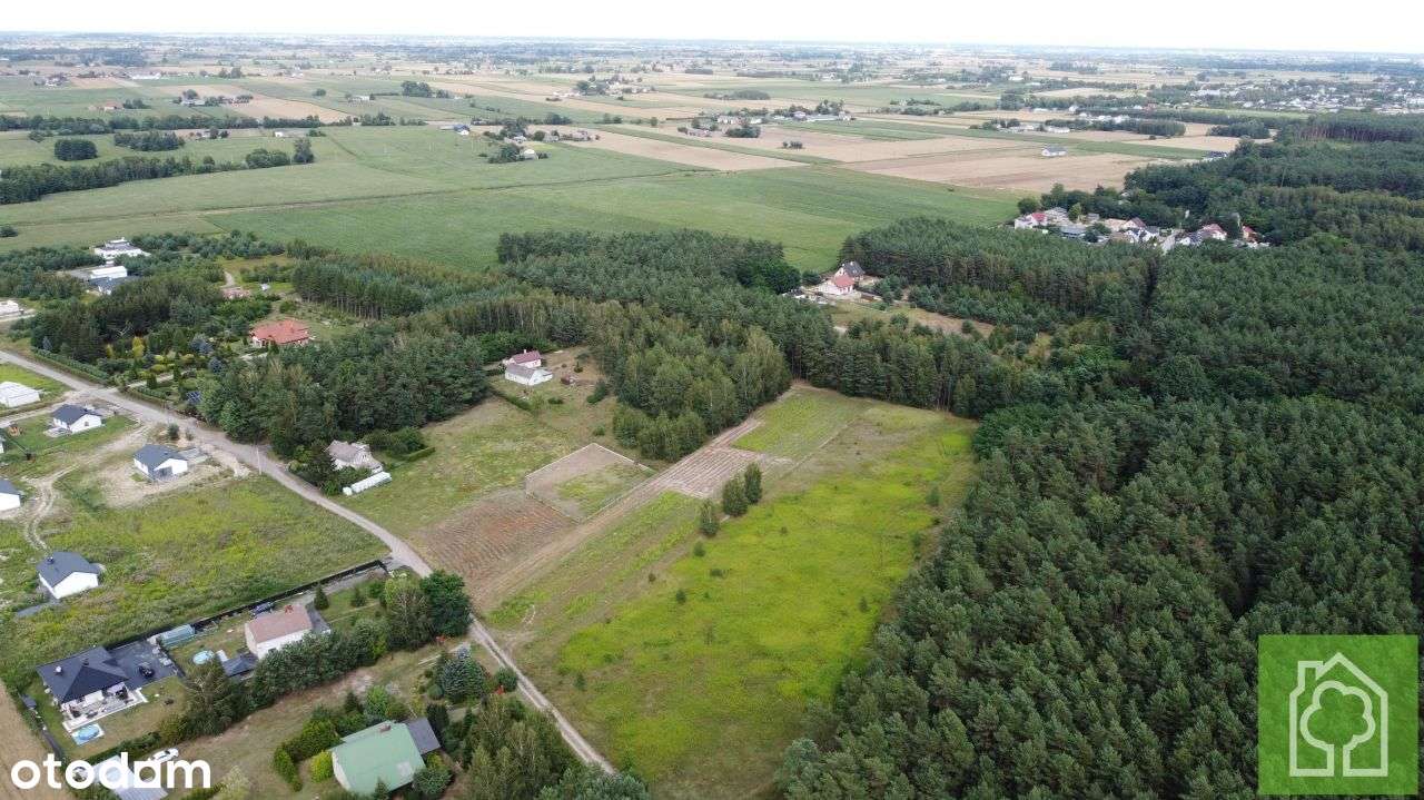 Działka, 800 m², Obrowo - Pełny obrazek: 4/12