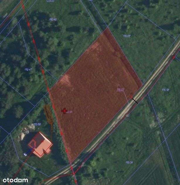 Działka pod zabudowę mieszkaniową Szczypiorno - Pełny obrazek: 4/5