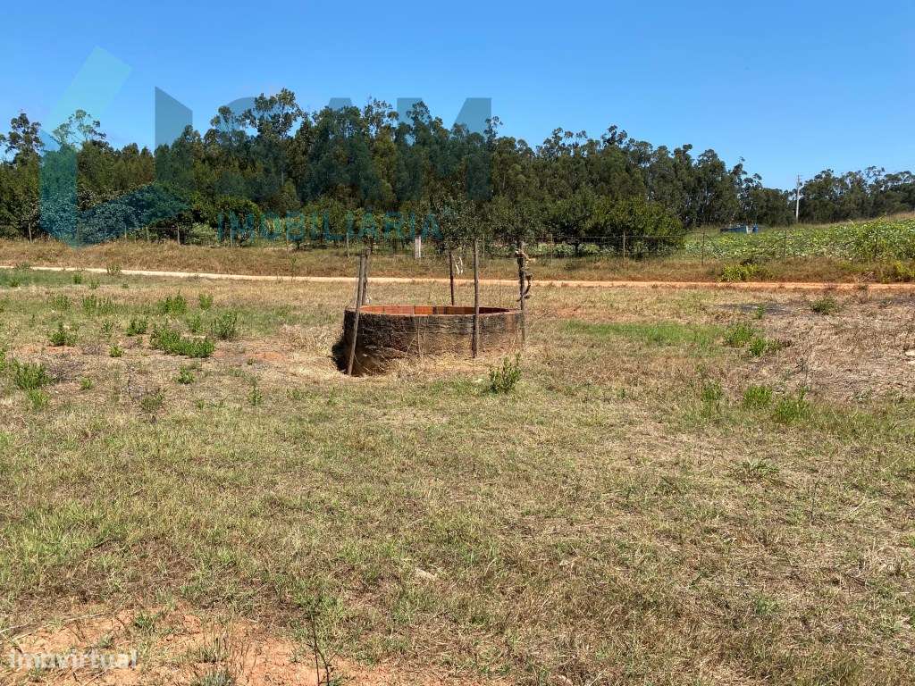 Terreno de 17.800 m2 com Moradia e Armazém - Grande imagem: 5/8