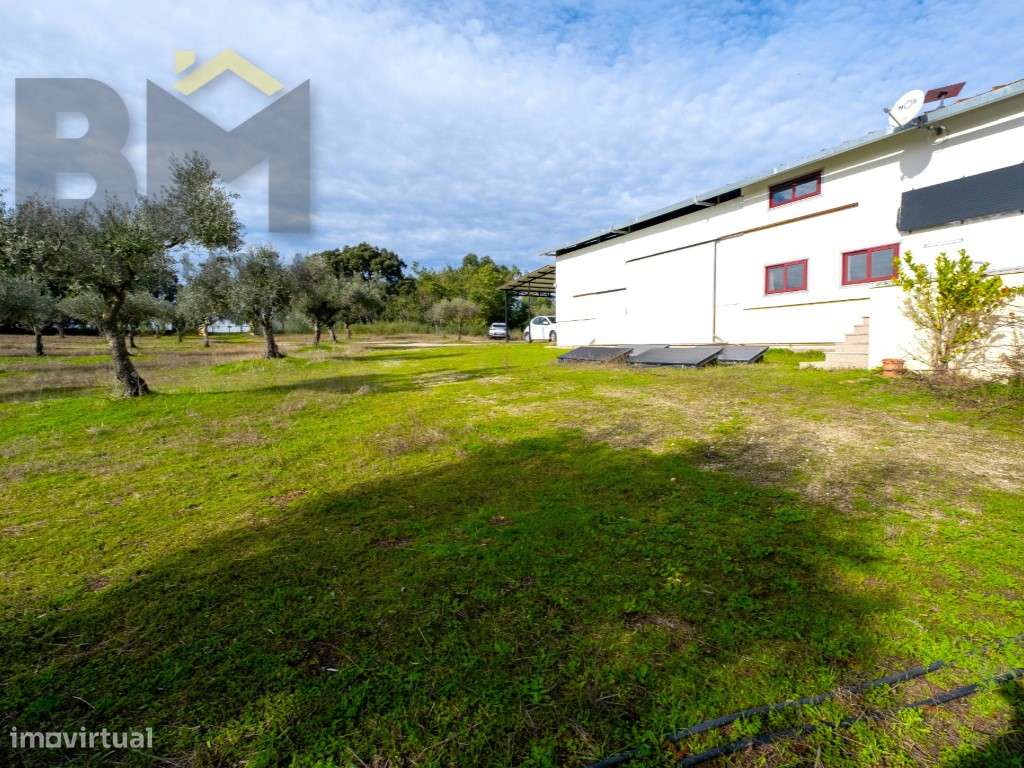 Quinta das Fontainhas - Propriedade Única em Lardosa-42