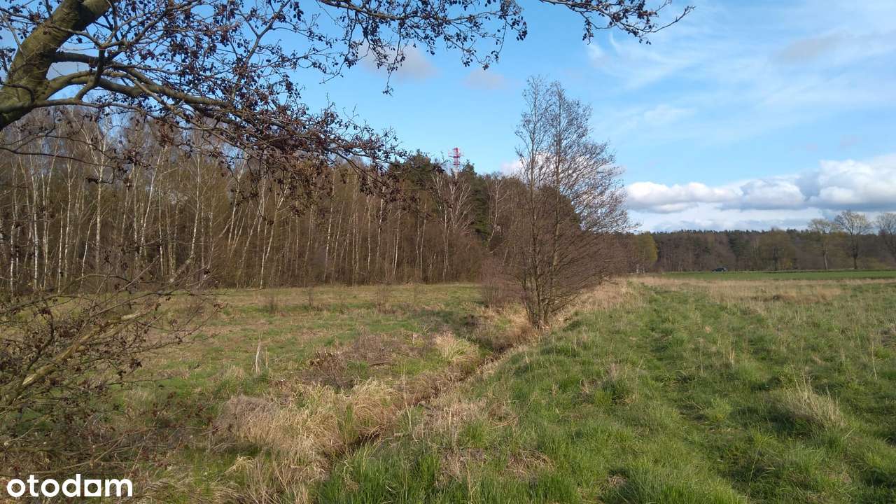 Działki blisko morza w super cenie-2