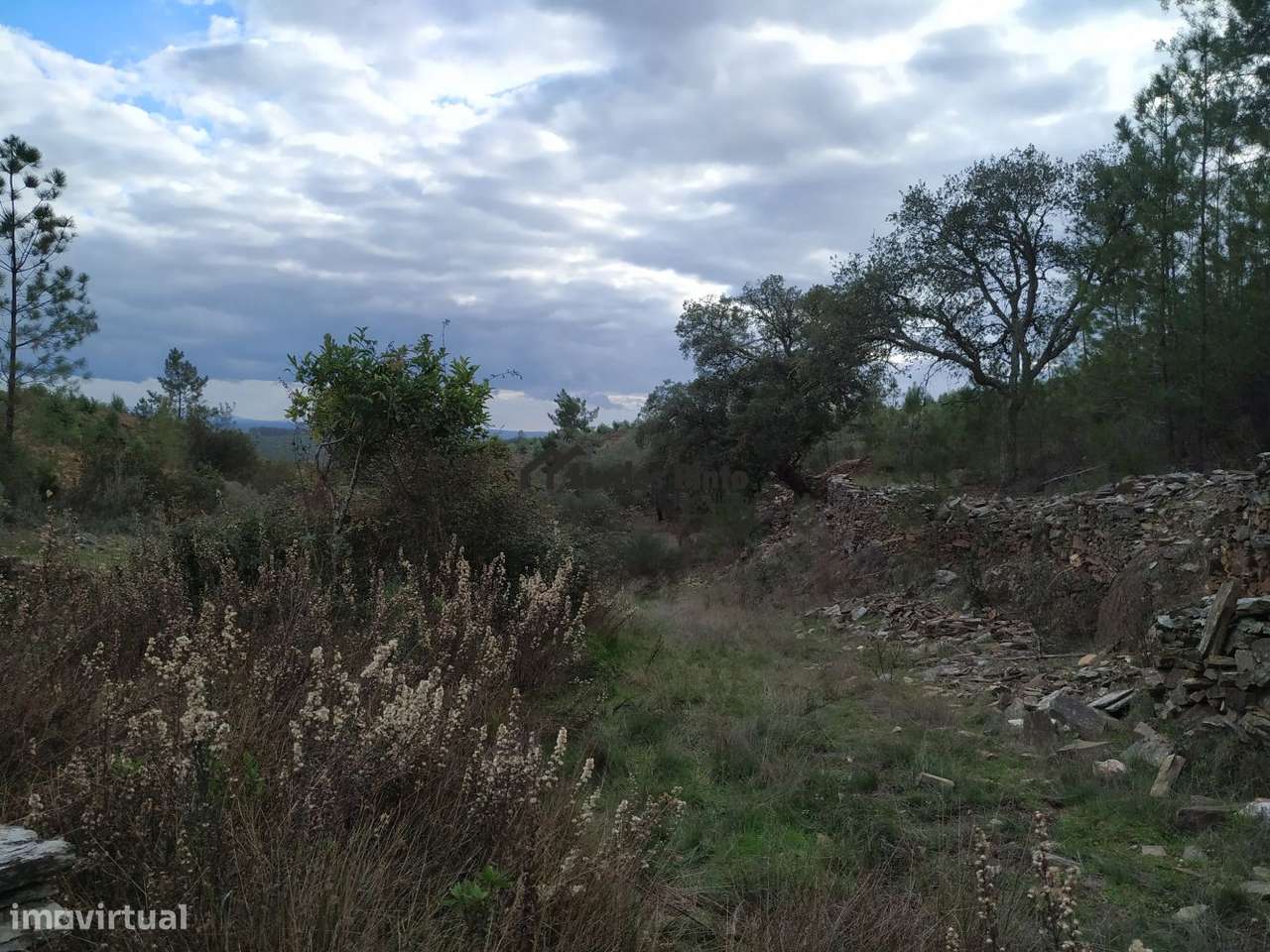 Quinta com muita água - Grande imagem: 4/20