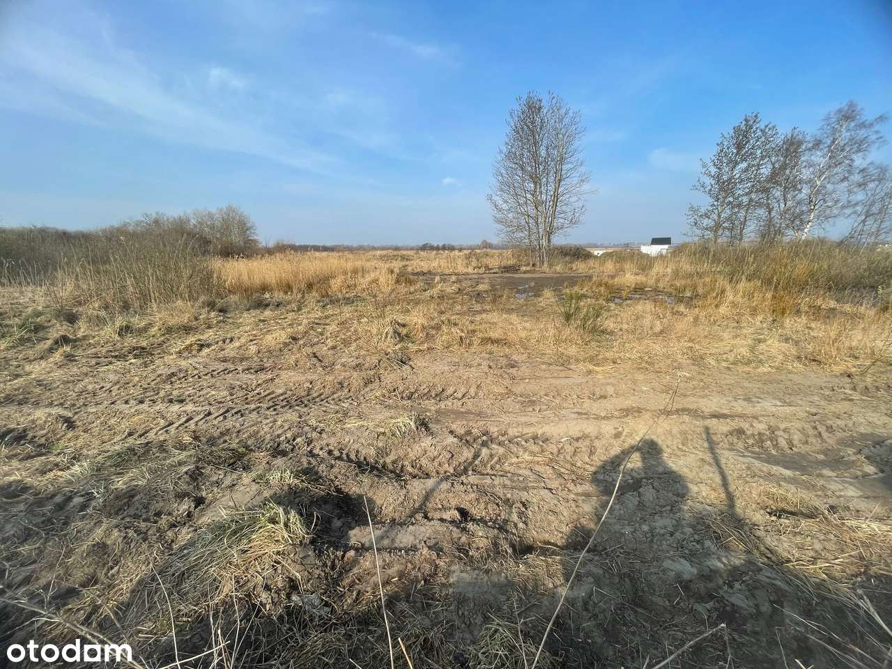 DZIAŁKA*REWA*BLISKO MORZA*MEDIA*MARINA - Pełny obrazek: 4/7