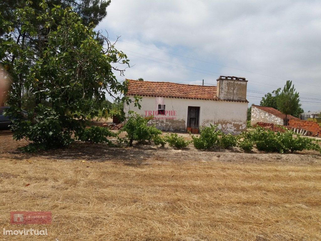 Quinta com Vinha, Valverde, Coruche