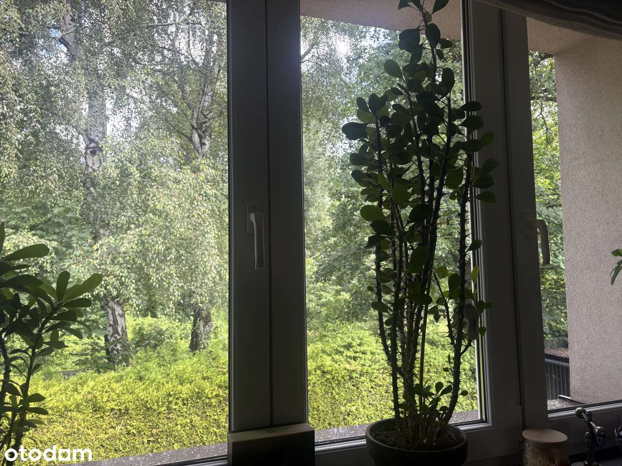 Wyjątkowy dom - enklawa zieleni i pryw. w top lokalizacji