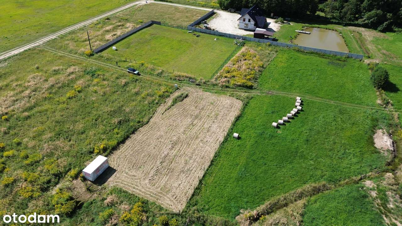 DZIAŁKA  Budowlana 11,04 AR – KASZOWO, GMINA MILICZ – LAS DOlina Baryc-6