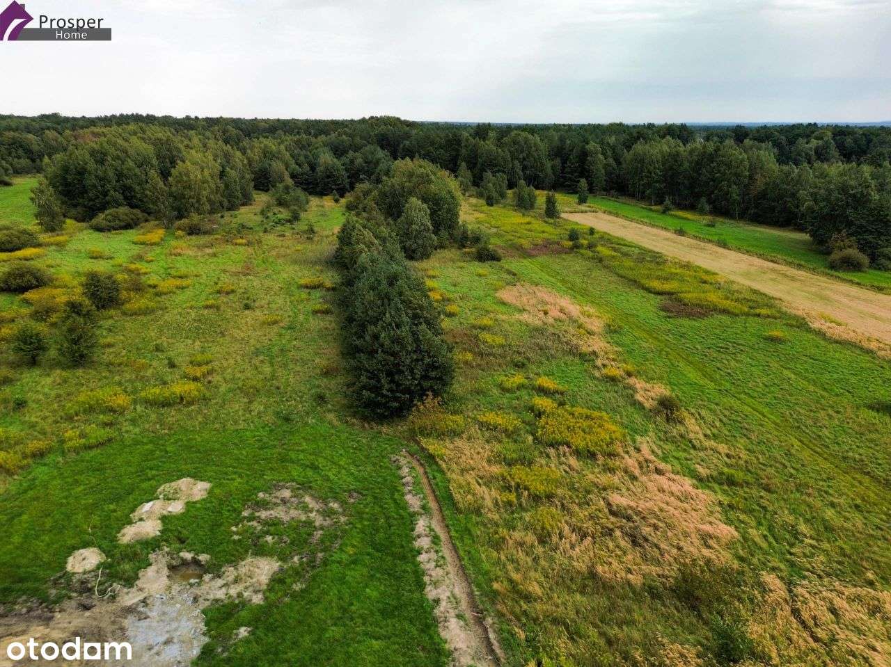 Działka 11a | Plan zagospodarowania| Nowe osiedle - Pełny obrazek: 5/6