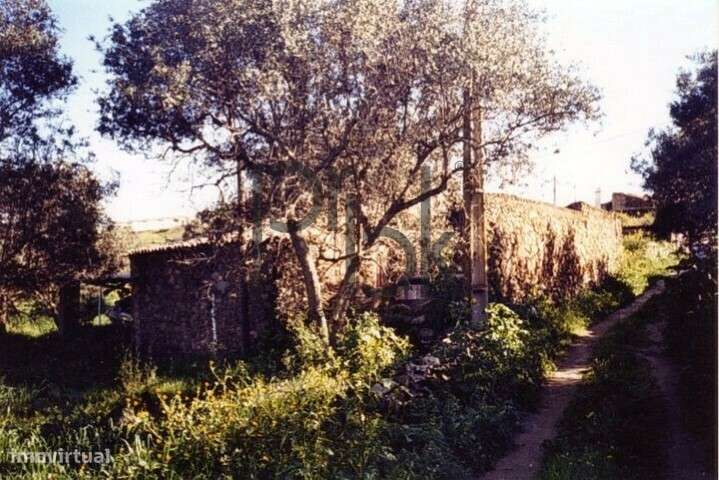 Herdade Montinho do Pascoal-9