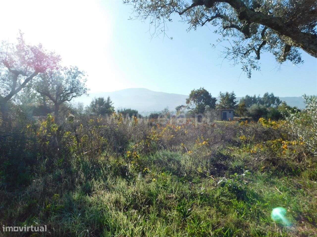 Terreno / Seia, Santa Marinha e São Martinho - Grande imagem: 3/15