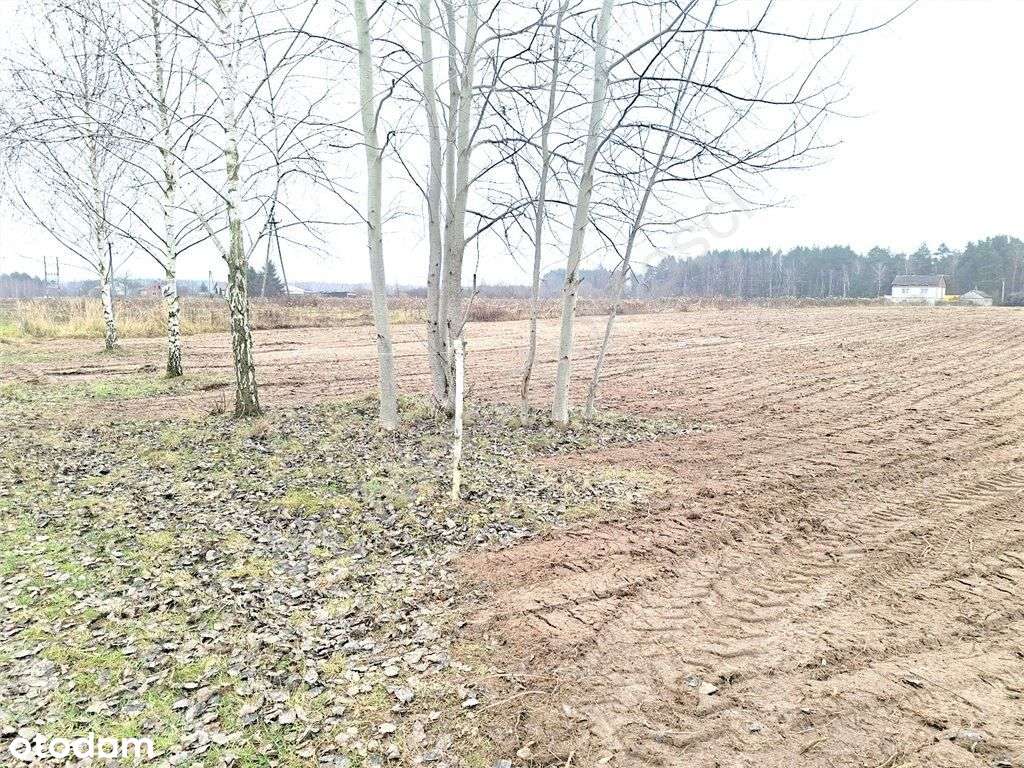 Działka budowlana w Barczącej ul. Grabowa - Pełny obrazek: 4/15