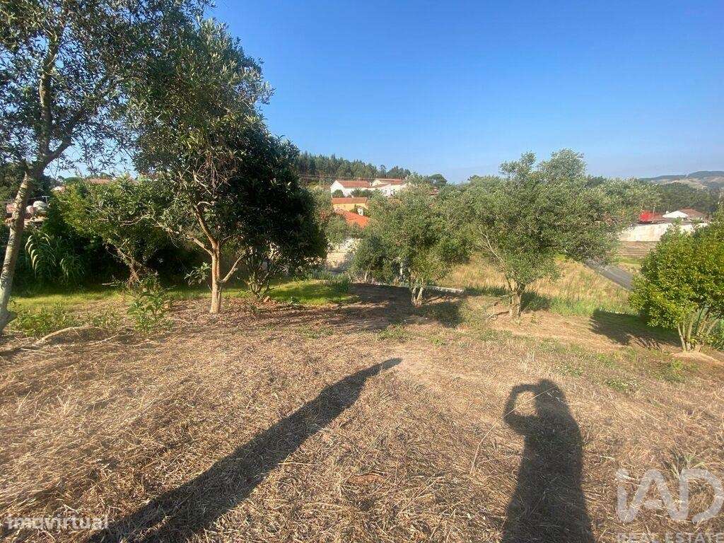 Casa de aldeia em Maxial e Monte Redondo de 123,00 m2 - Grande imagem: 4/10