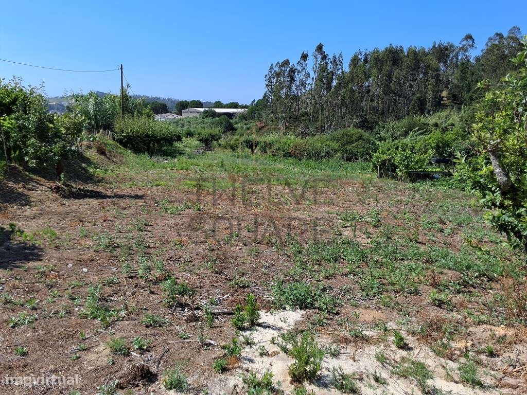 Terreno para Construção com Projeto Aprovado licença de construção ...-7