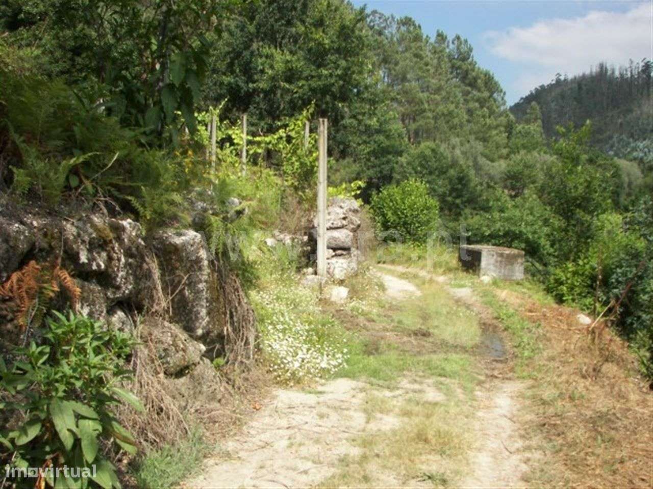 Terreno - Grande imagem: 4/9