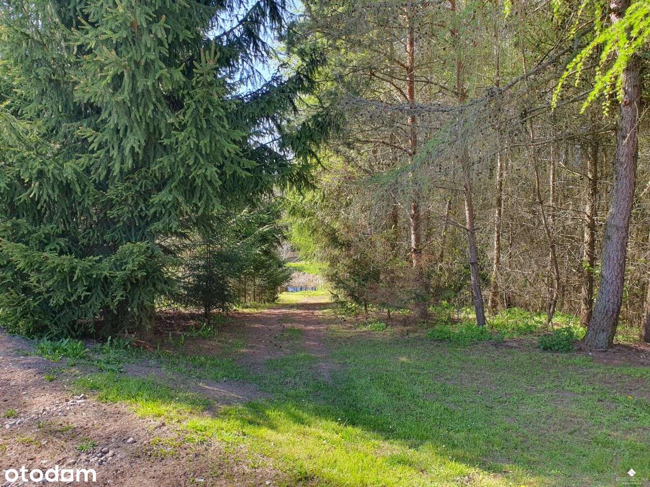 Dom, gaspodarstwo agroturystyczne.-9