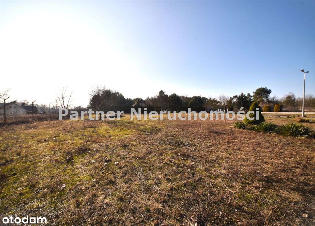 Lubicz działka pod lasem, Drwęca, duża - Pełny obrazek: 4/6