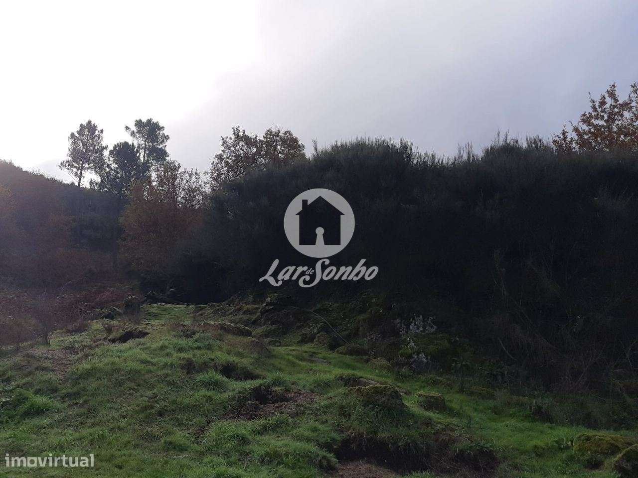 Terreno rústico Ribas celorico de Basto - Grande imagem: 2/4
