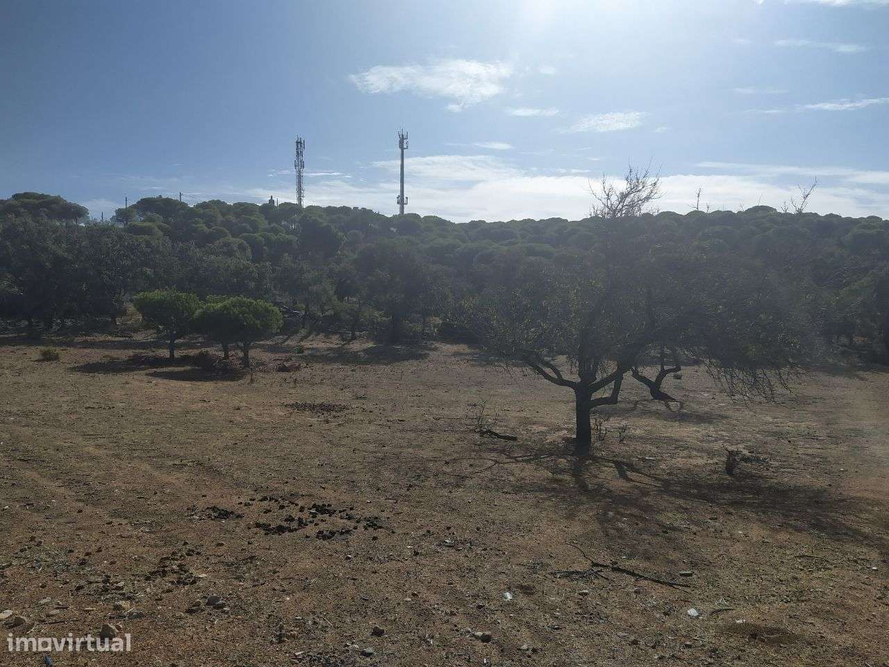 Terreno Misto C/ 18 Hect Praia Altura Algarve-9